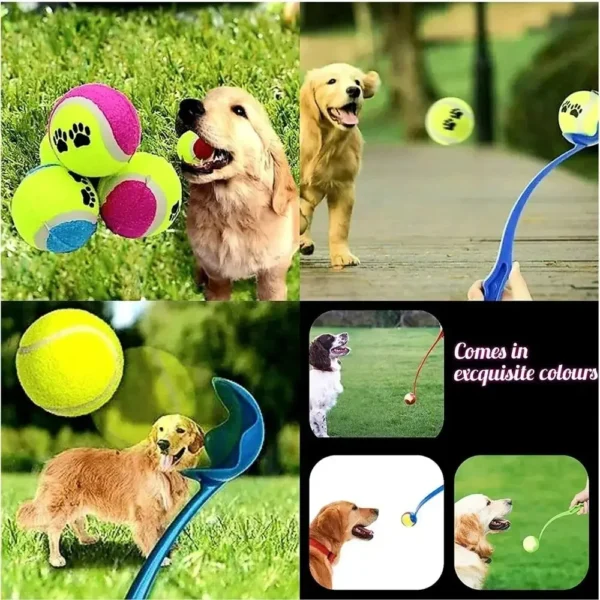 Pet Throwing Stick Dog - Hand Throwing Ball Toys - Image 5