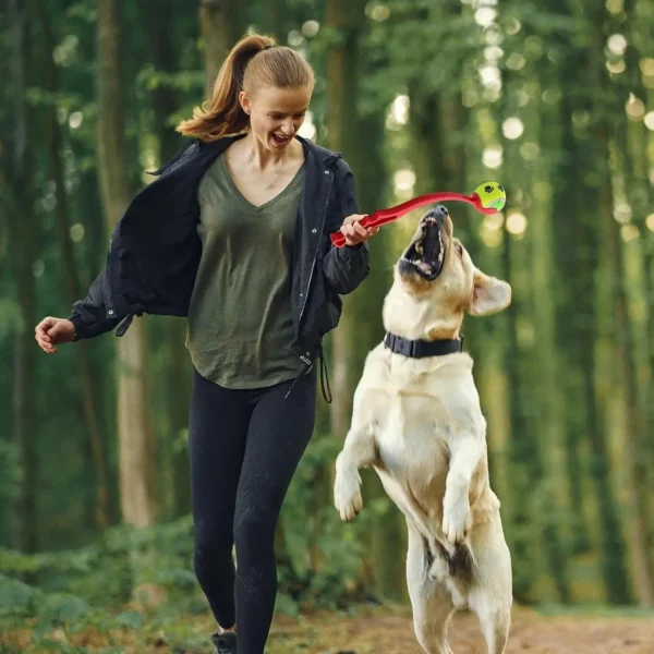 Pet Throwing Stick Dog - Hand Throwing Ball Toys - Image 6