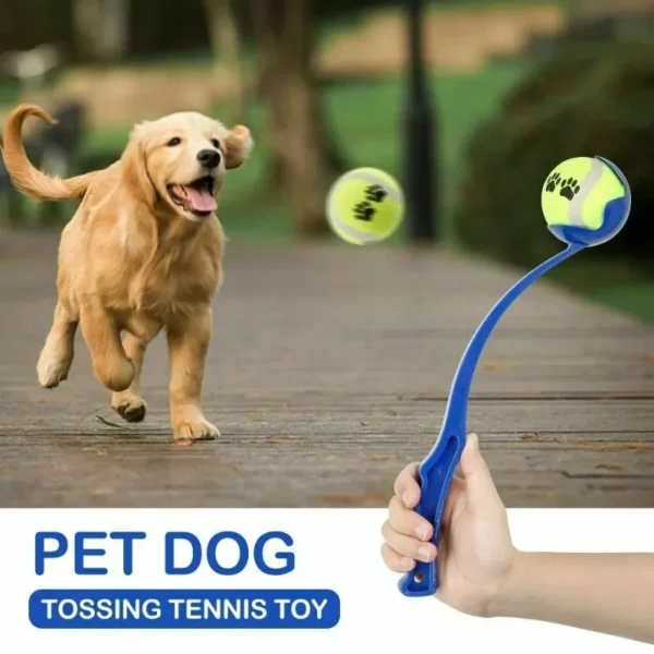 Pet Throwing Stick Dog - Hand Throwing Ball Toys - Image 4