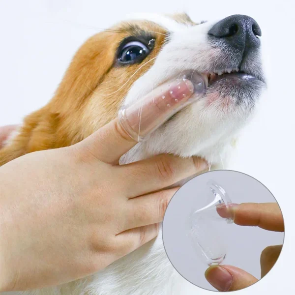 Soft Pet Finger Toothbrush Teddy Dog Brush - Image 4