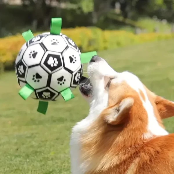 Football Design Pet Toy With Straps - Image 4